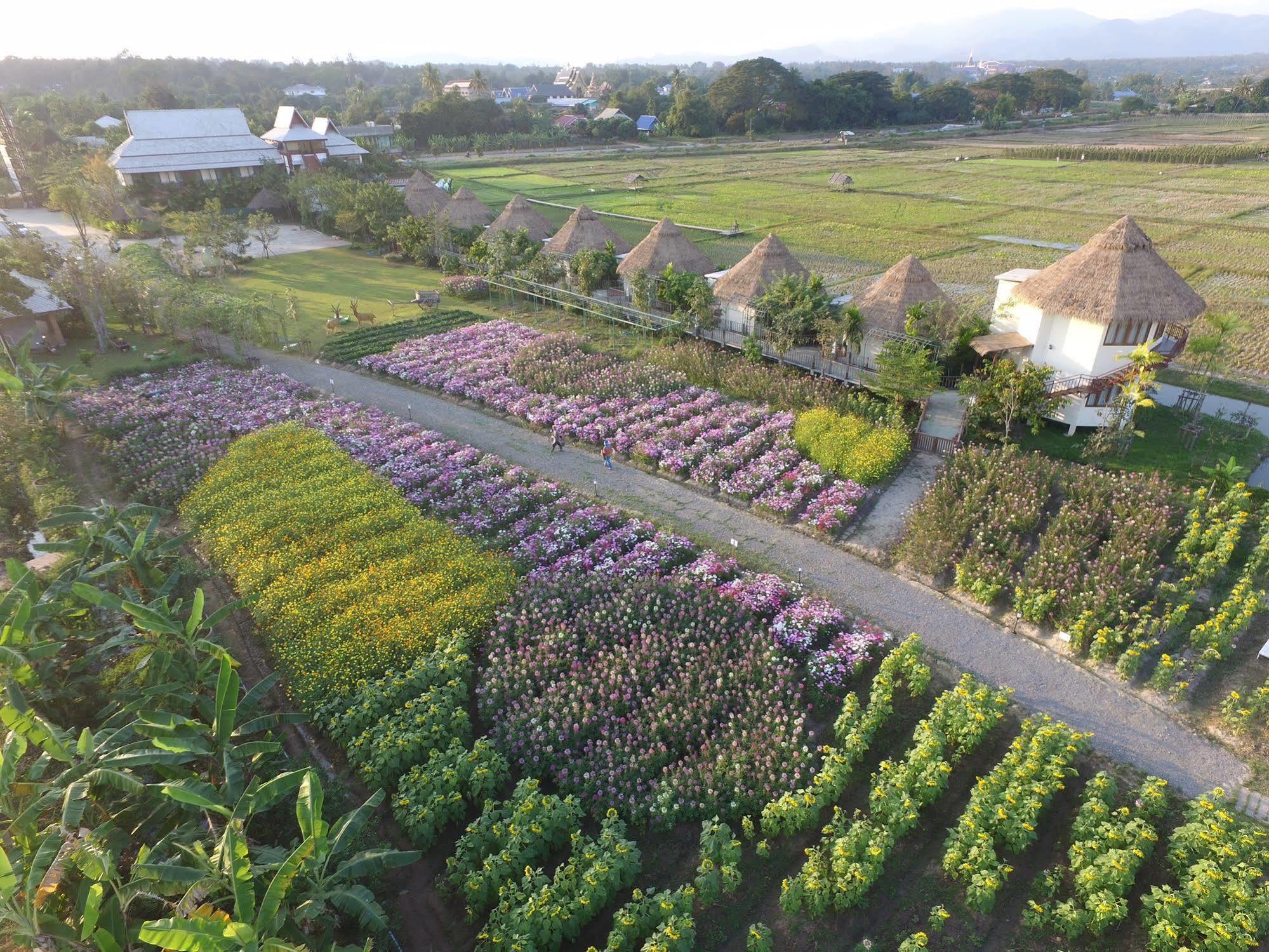 Phusanfah Resort Mae Taeng Exterior foto